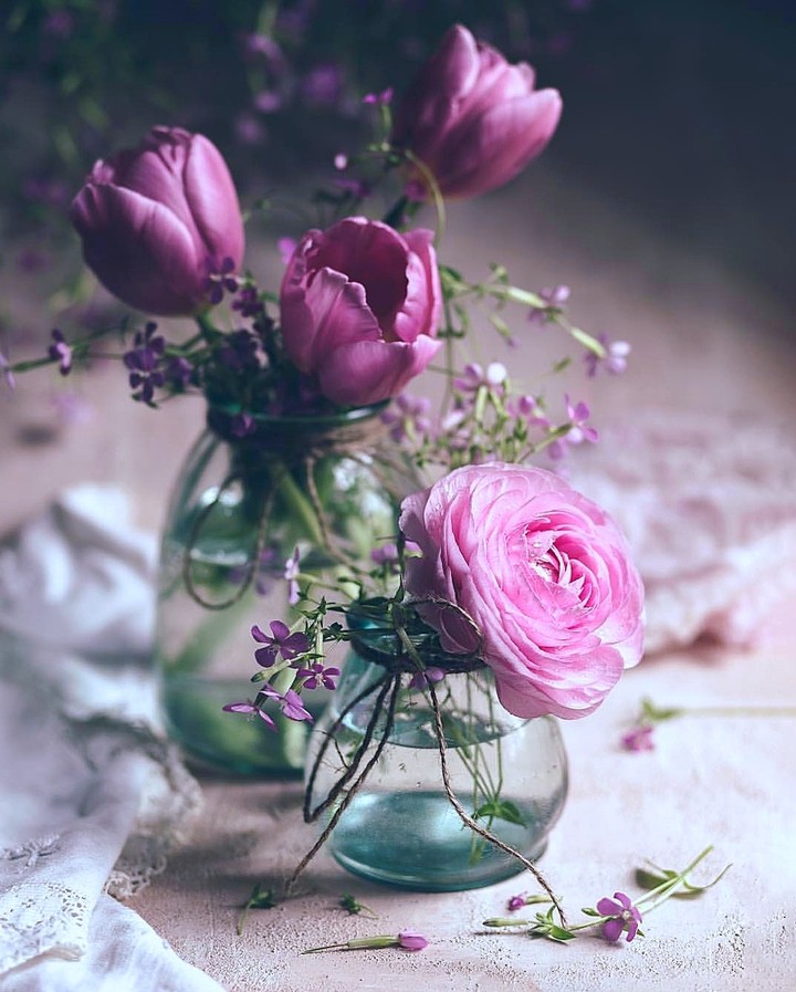 Roses