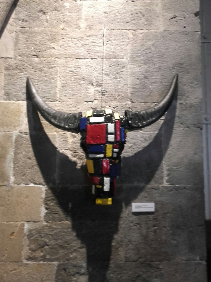 bison