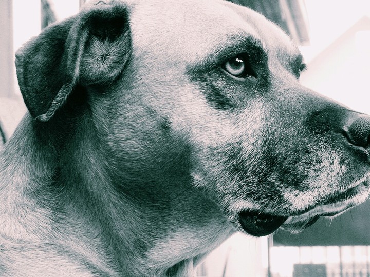 Spike
