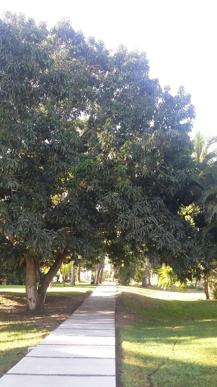 andador