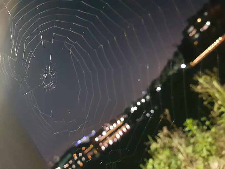 밤