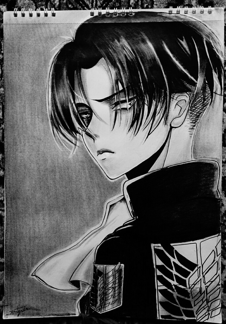 levai