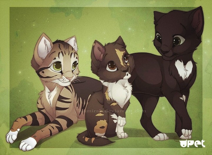 коты