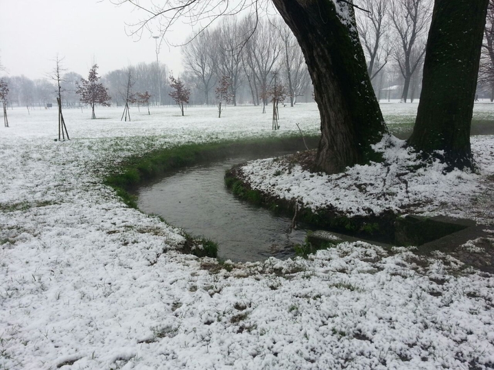 parco forlanini