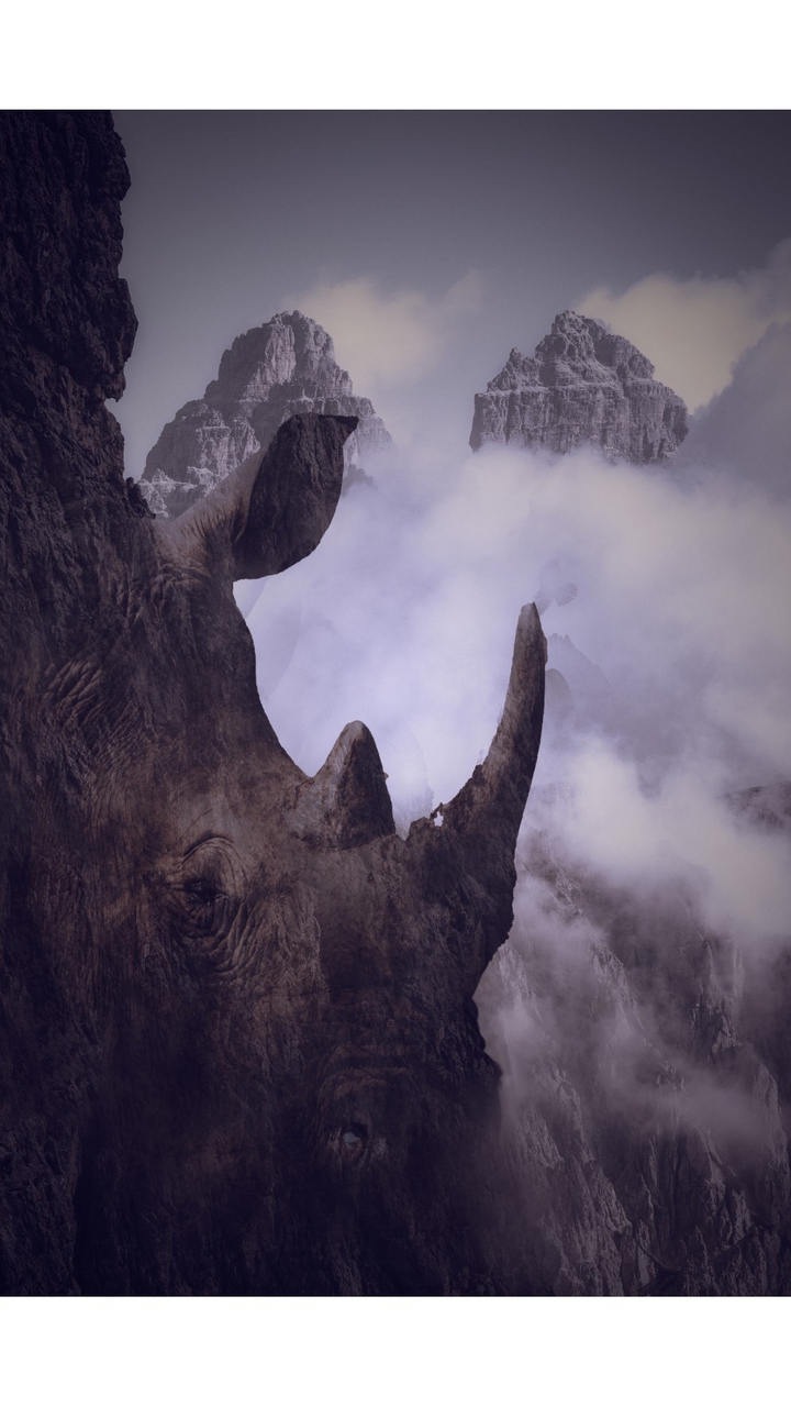 rhino hills
