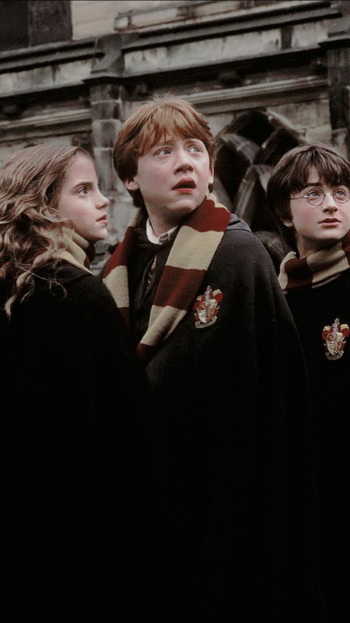 Harry Potter and his friends