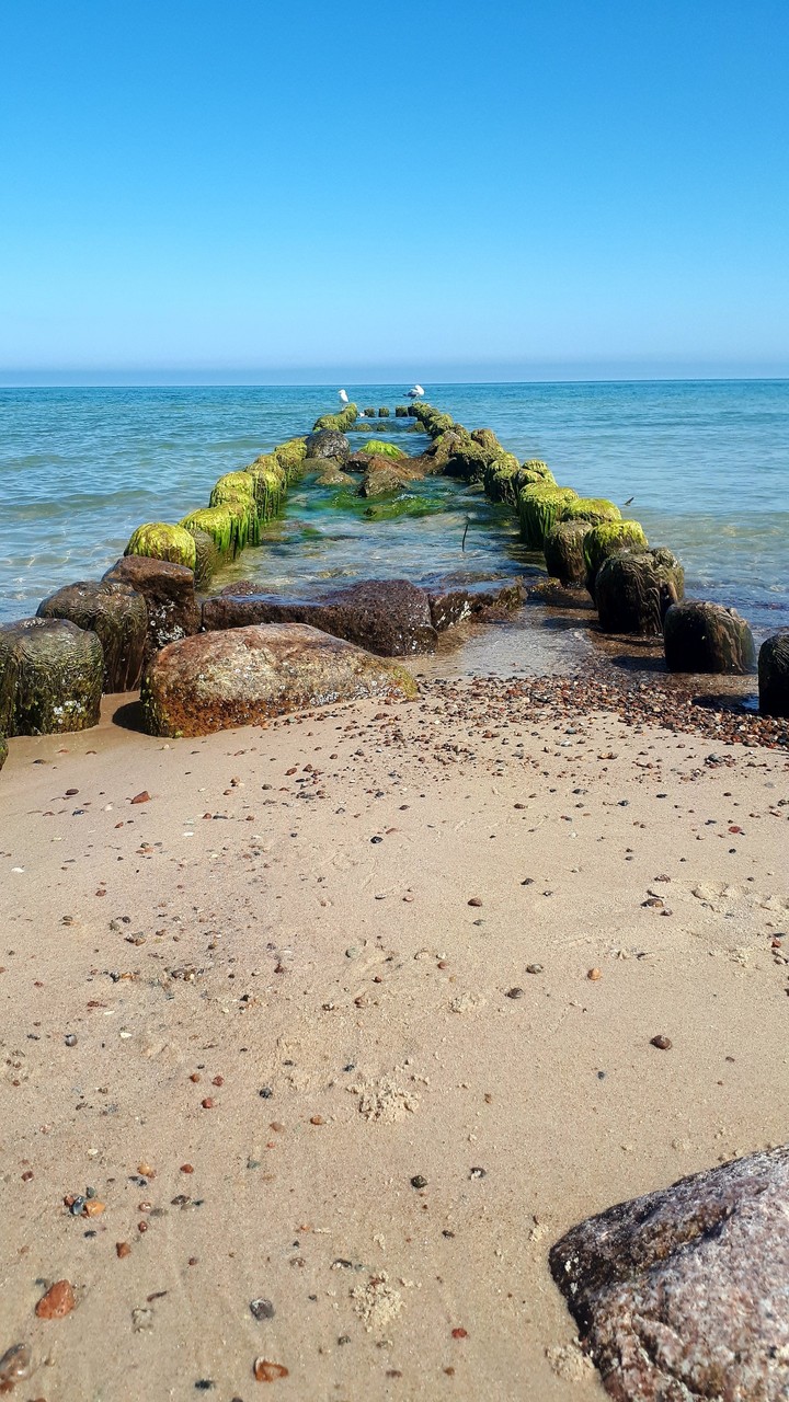 Sea Baltyckie