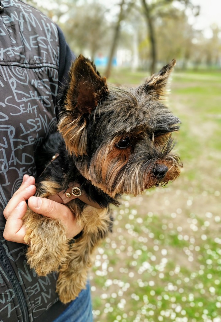Весеннее настроение