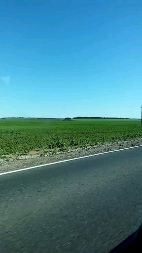 весна
