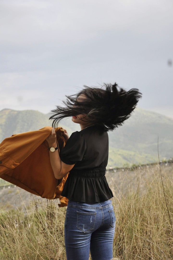 gone with the wind