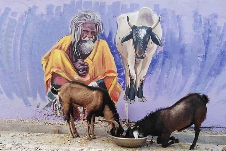 farmers