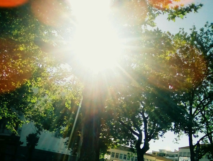 Photons