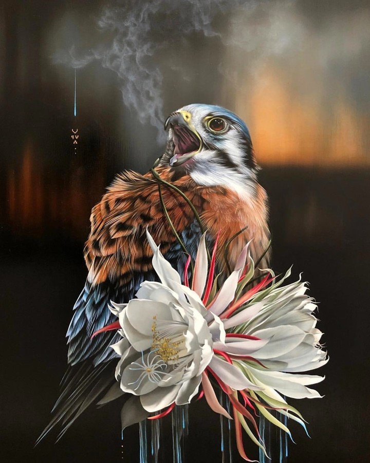 kestrel