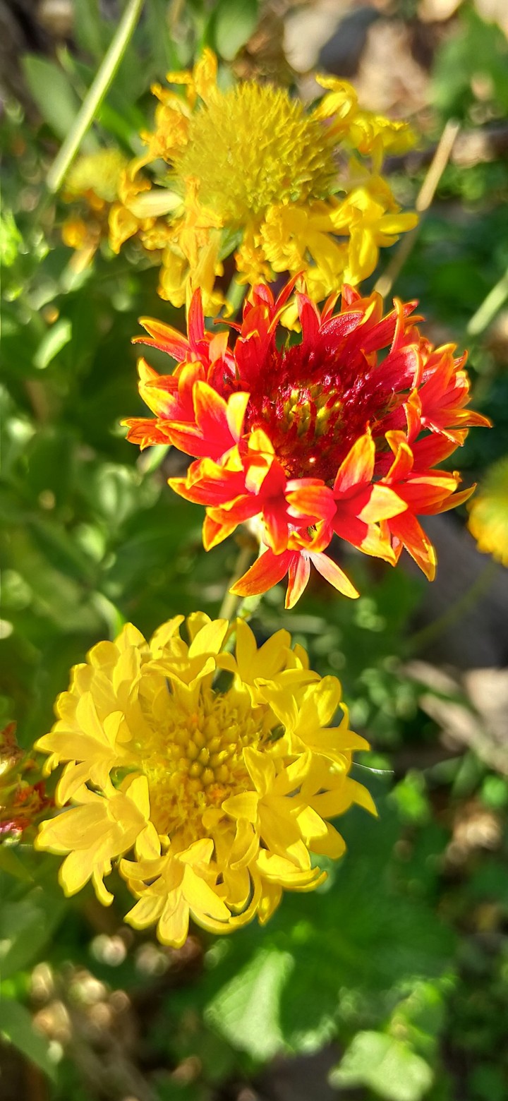 colour combination