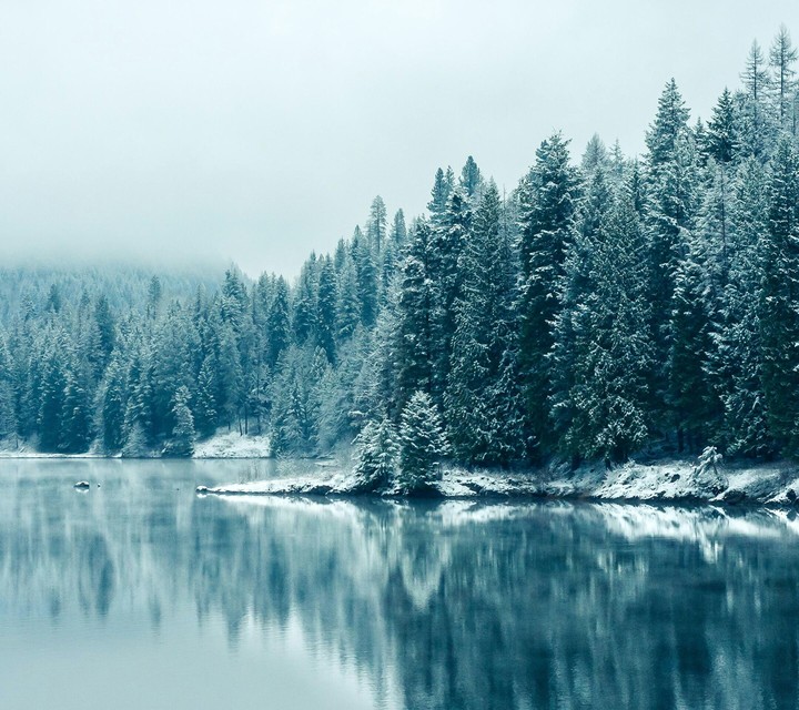 lake tree and snow