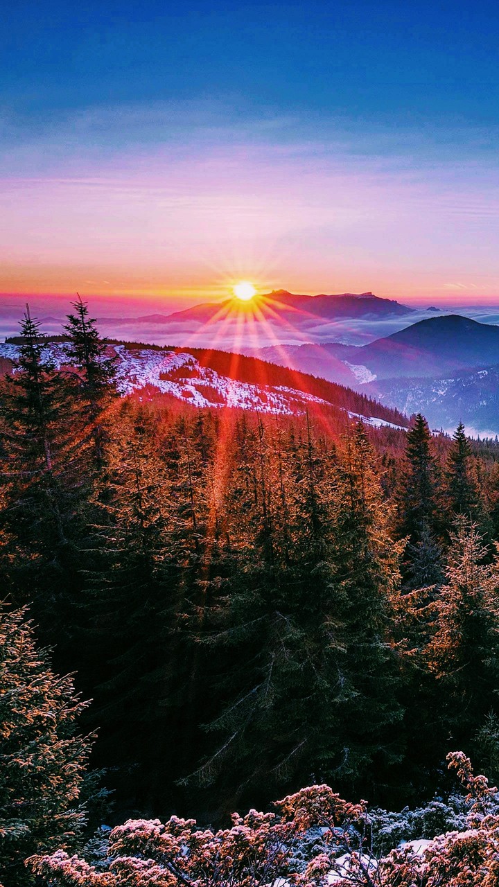 Forest World #Pakistan