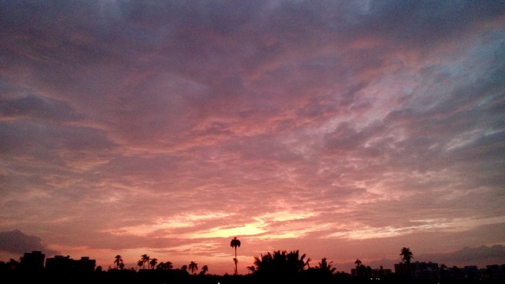 Before Sunset