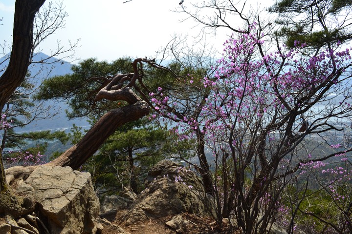 예봉산이미지