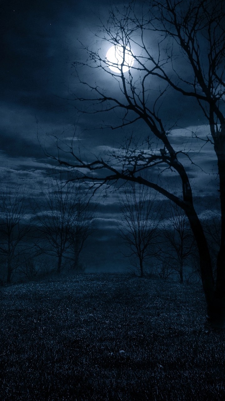 notte
