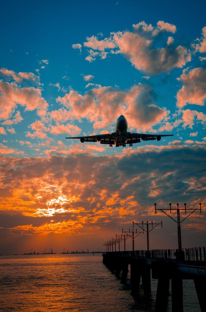 fly