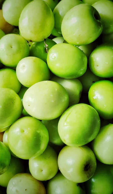 fruit