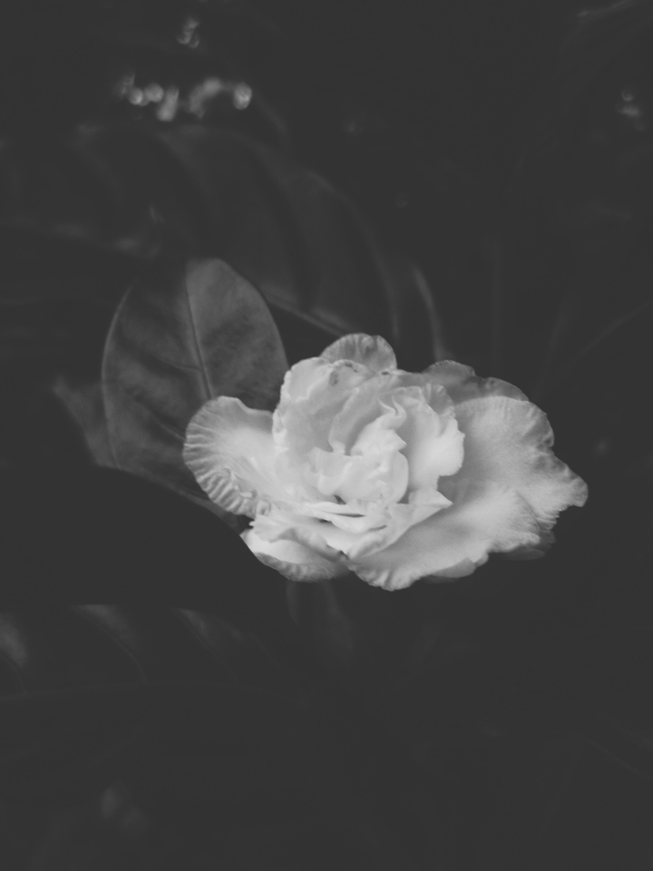 black and white
