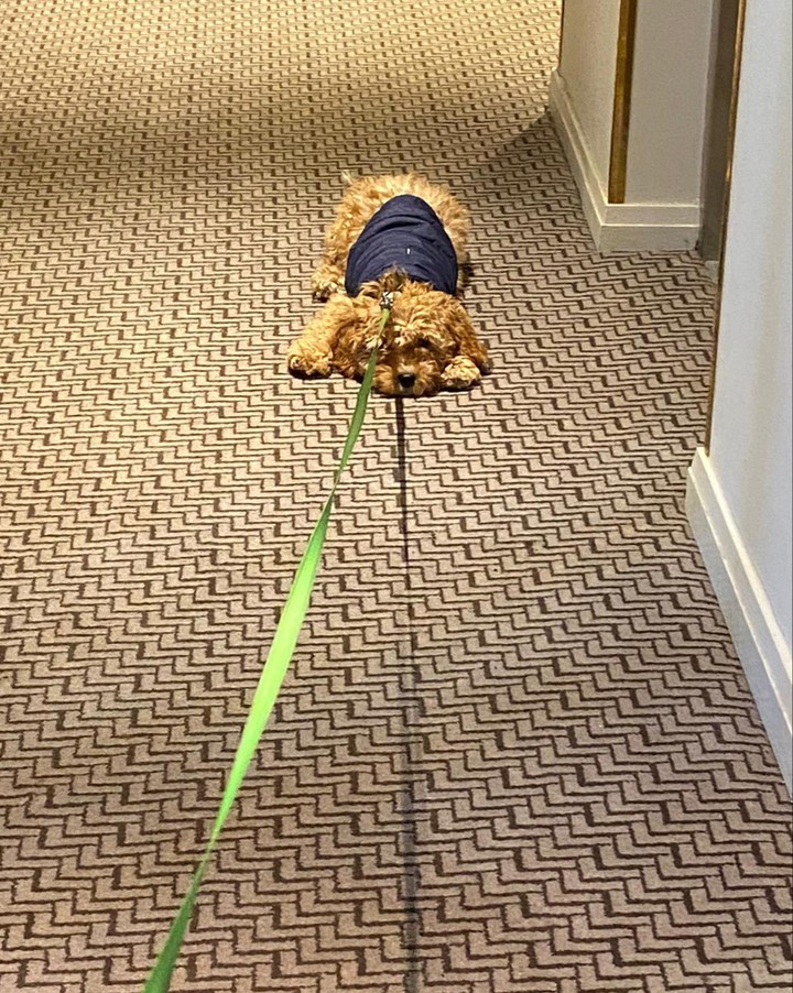 So tired