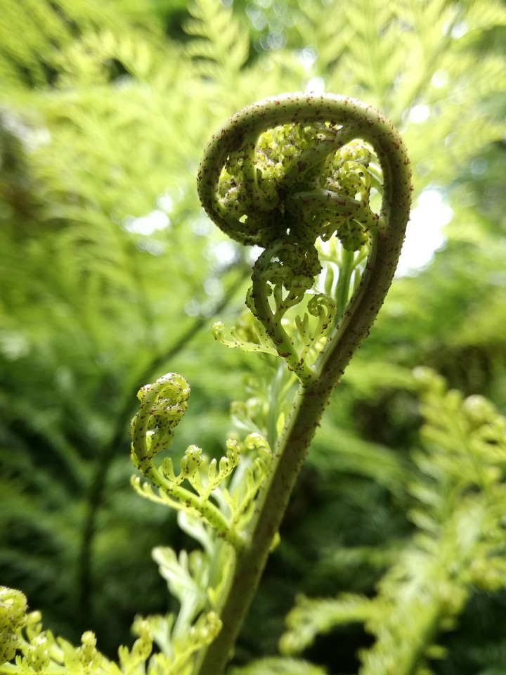 New life