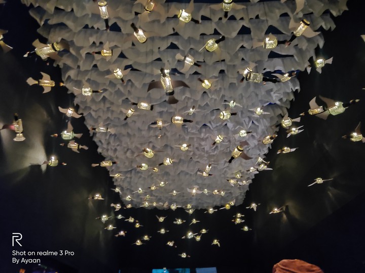 birds of glass...
