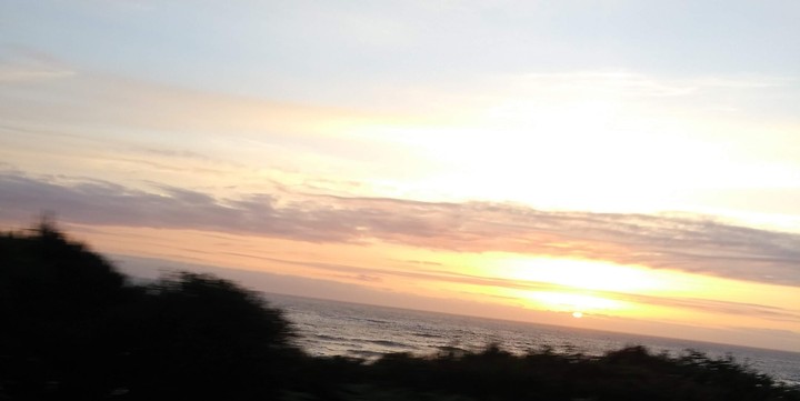 my coast