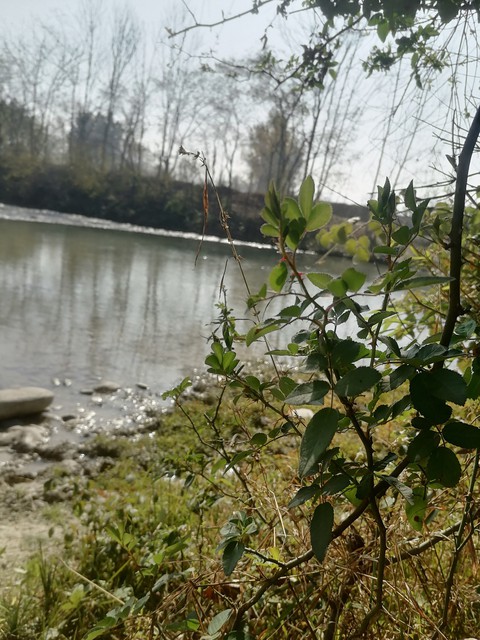 Beutiful And Original mobile phone captured photoes
