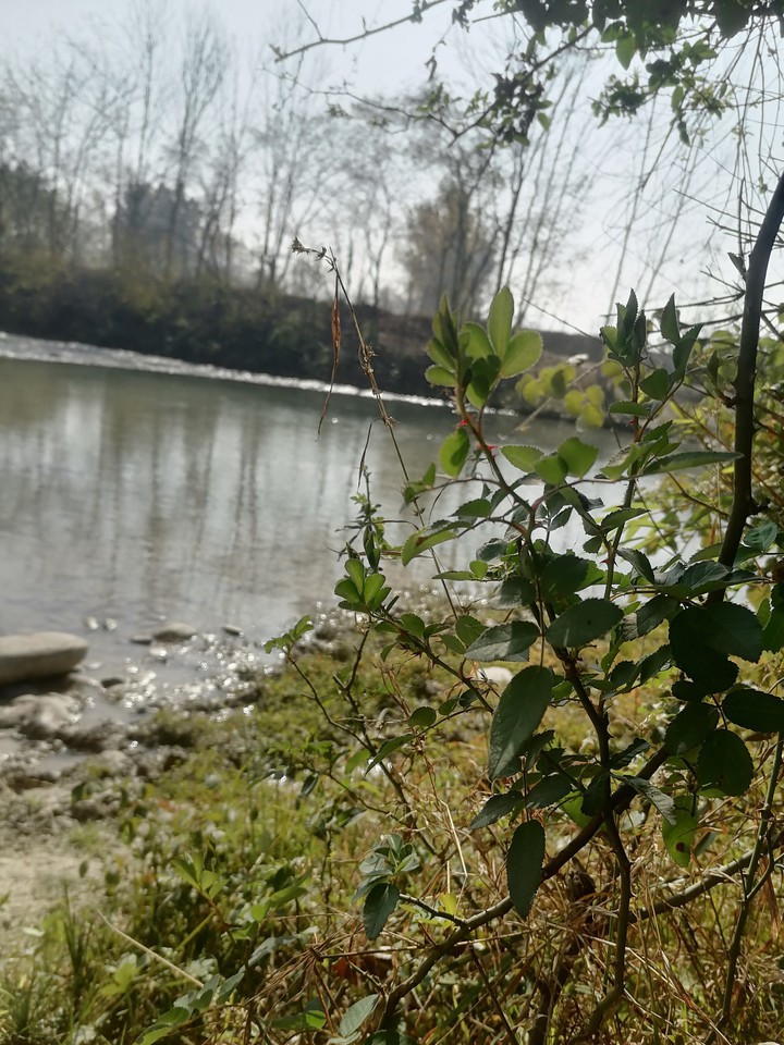 Beutiful And Original mobile phone captured photoes