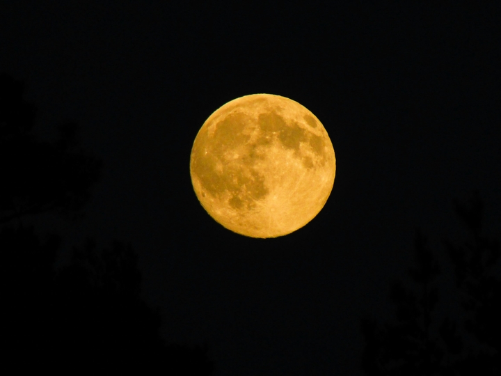 Moon