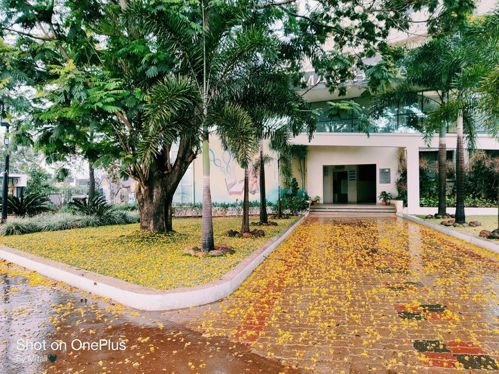 My College Campus❤️