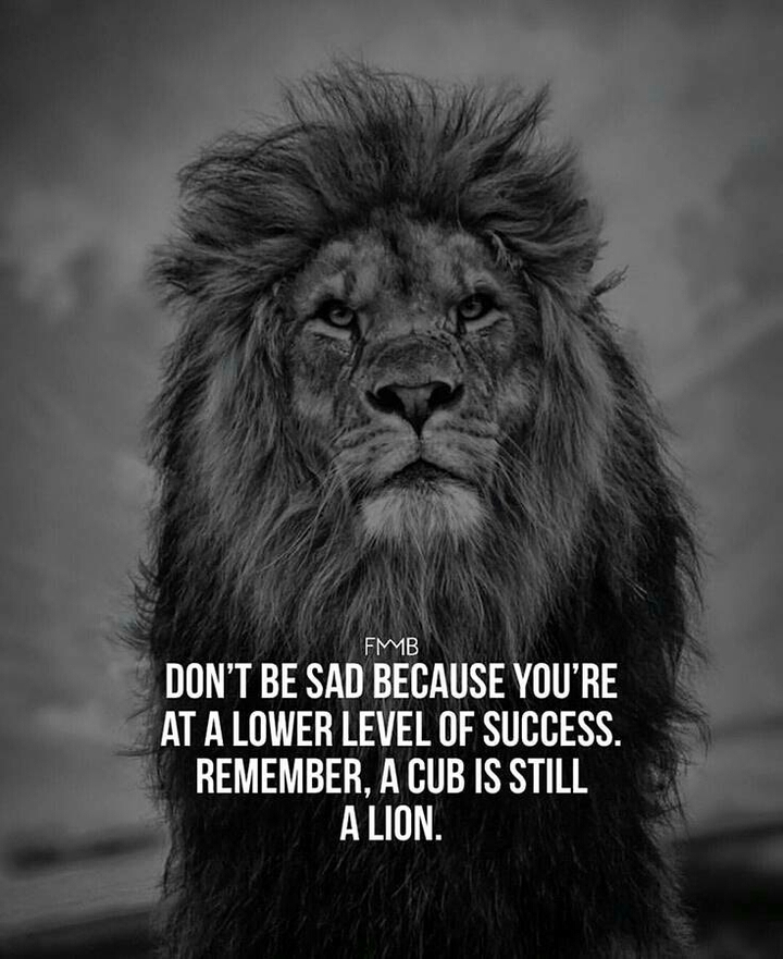 Attitude