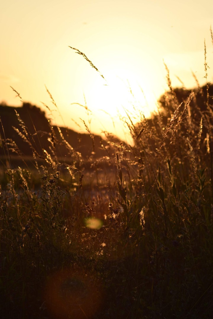 beauty of nature