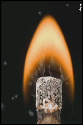 JUST...FIRE!!"
