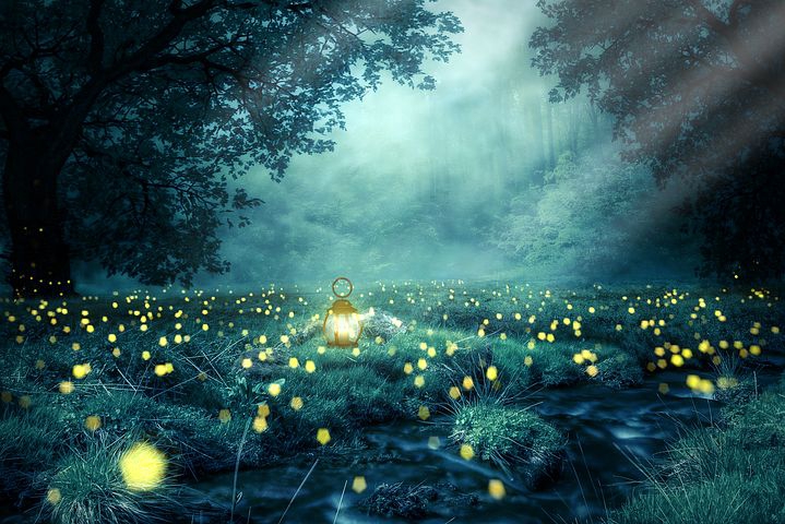 glowworms