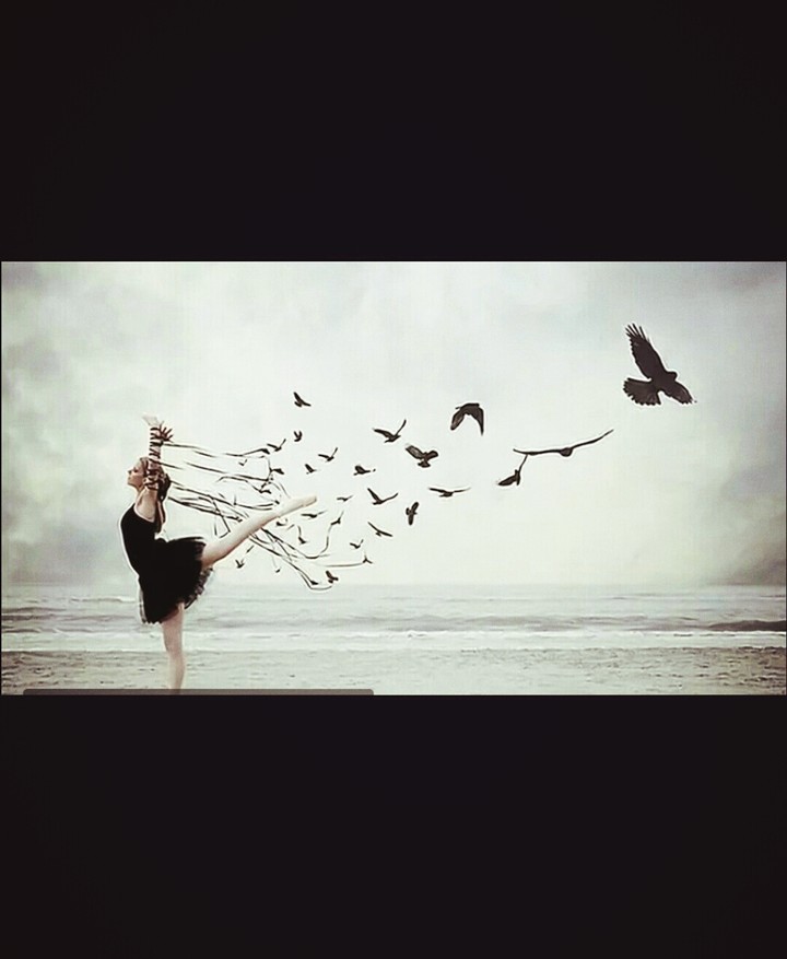 to dream . . .