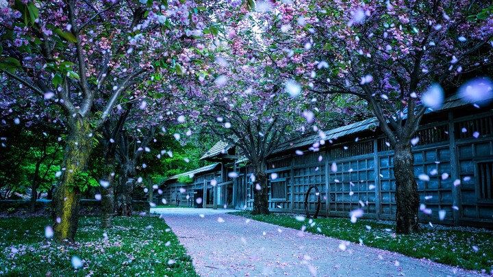 nature