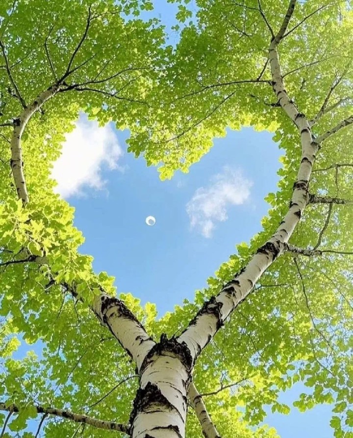 ❤️