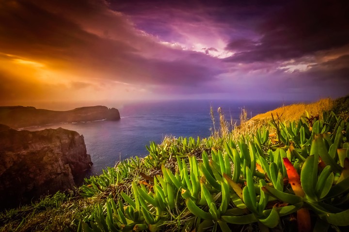 nature
