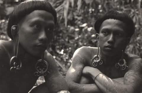 borneo