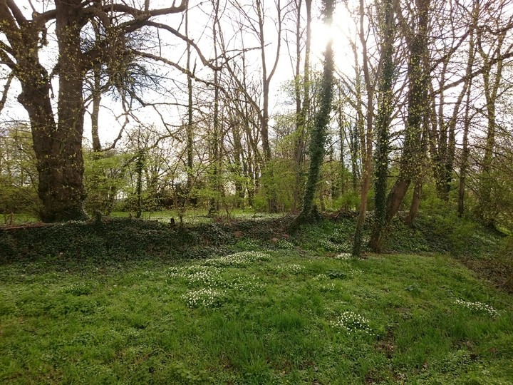 Elfengarten