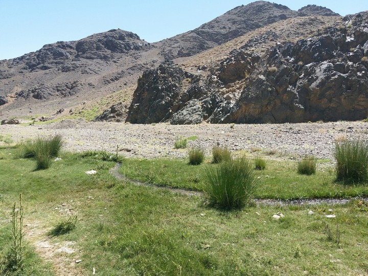 River & stones & mountain & gras