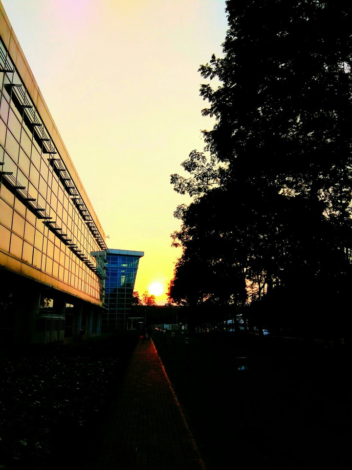 sun bidding goodbye for the day