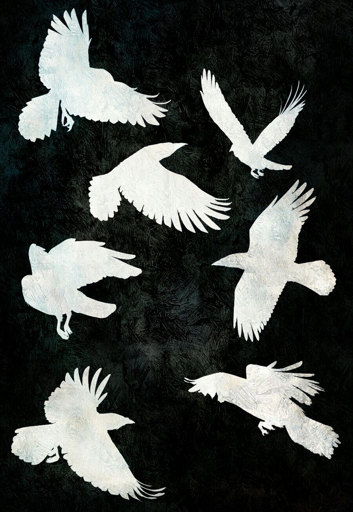 Flying Crows