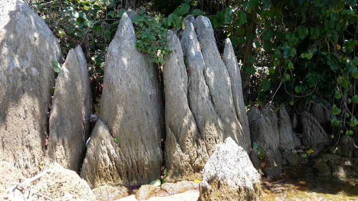 Rabbit Island