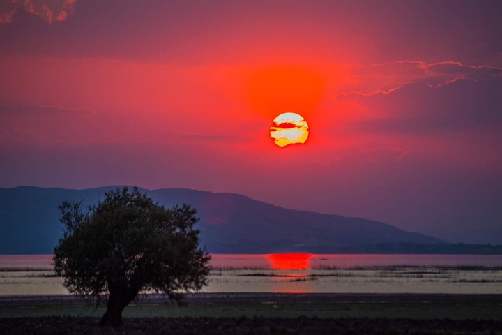 Elazıg palu