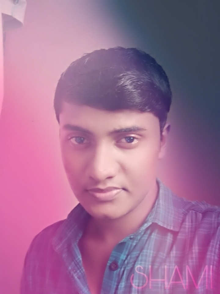 shami
